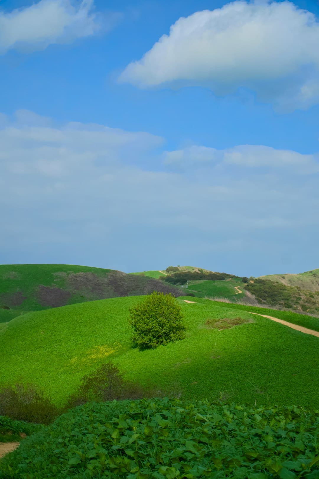 American soil and circular agriculture field texture